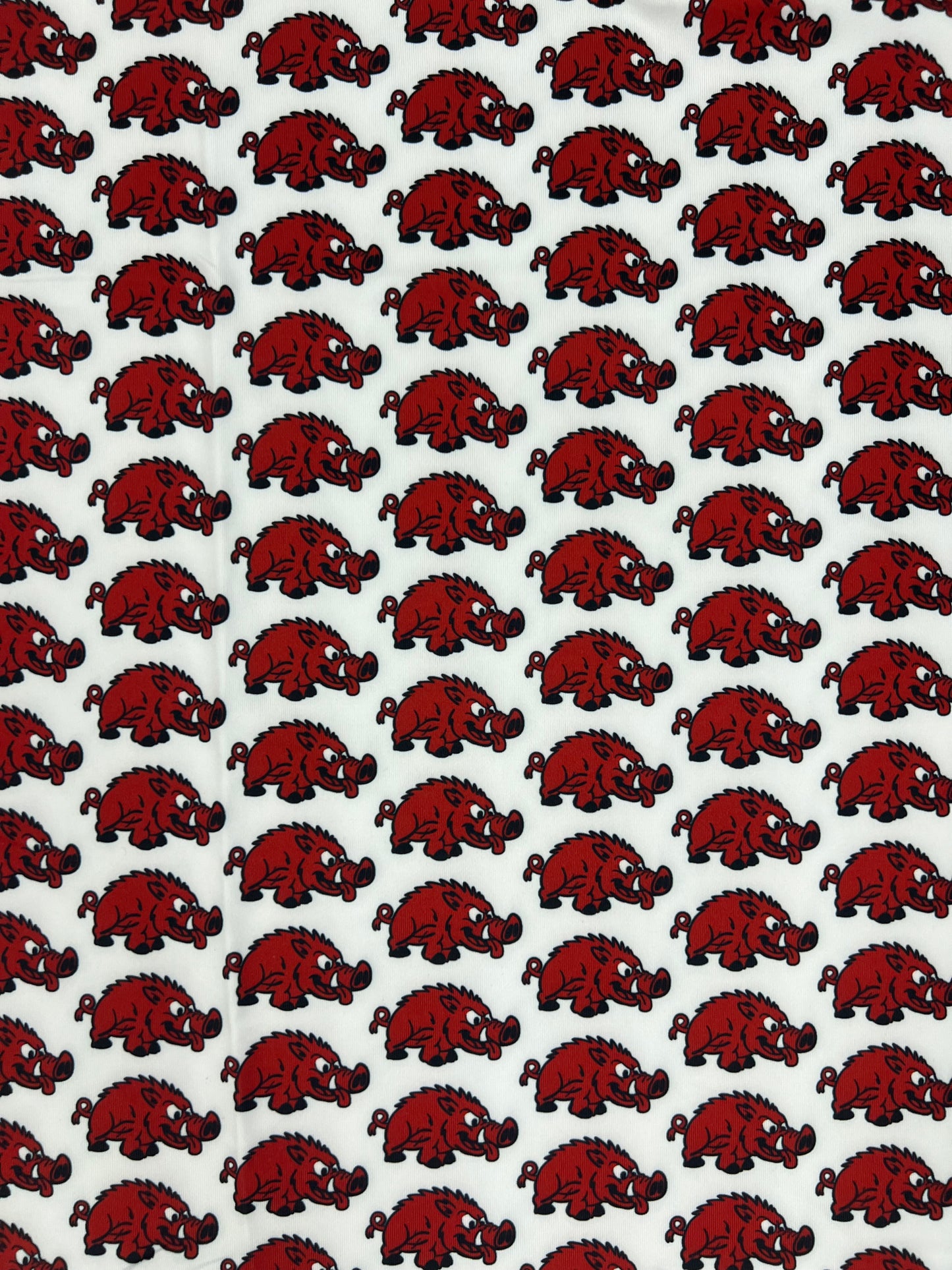 Razorback slobberin pig polo