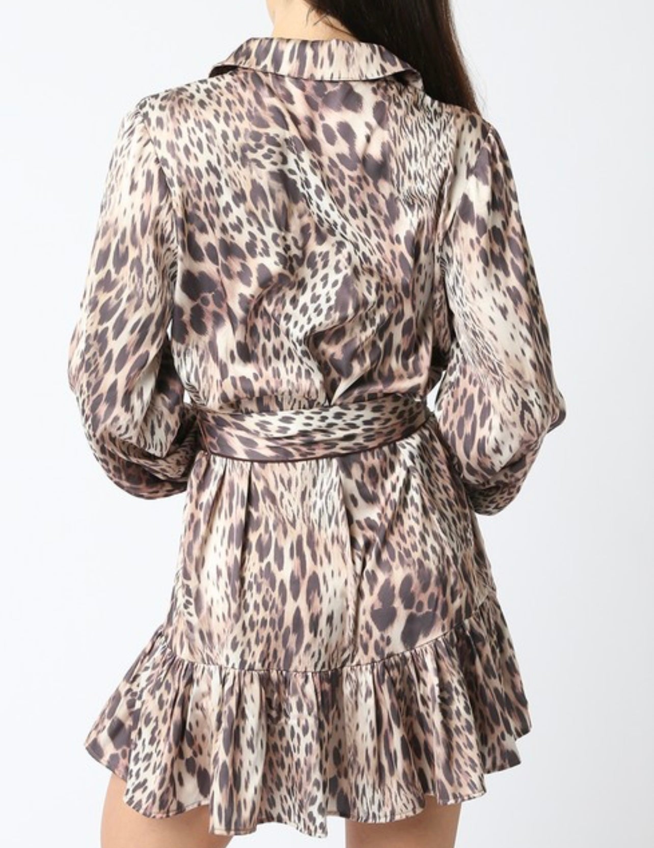 Elizabeth leopard button down dress