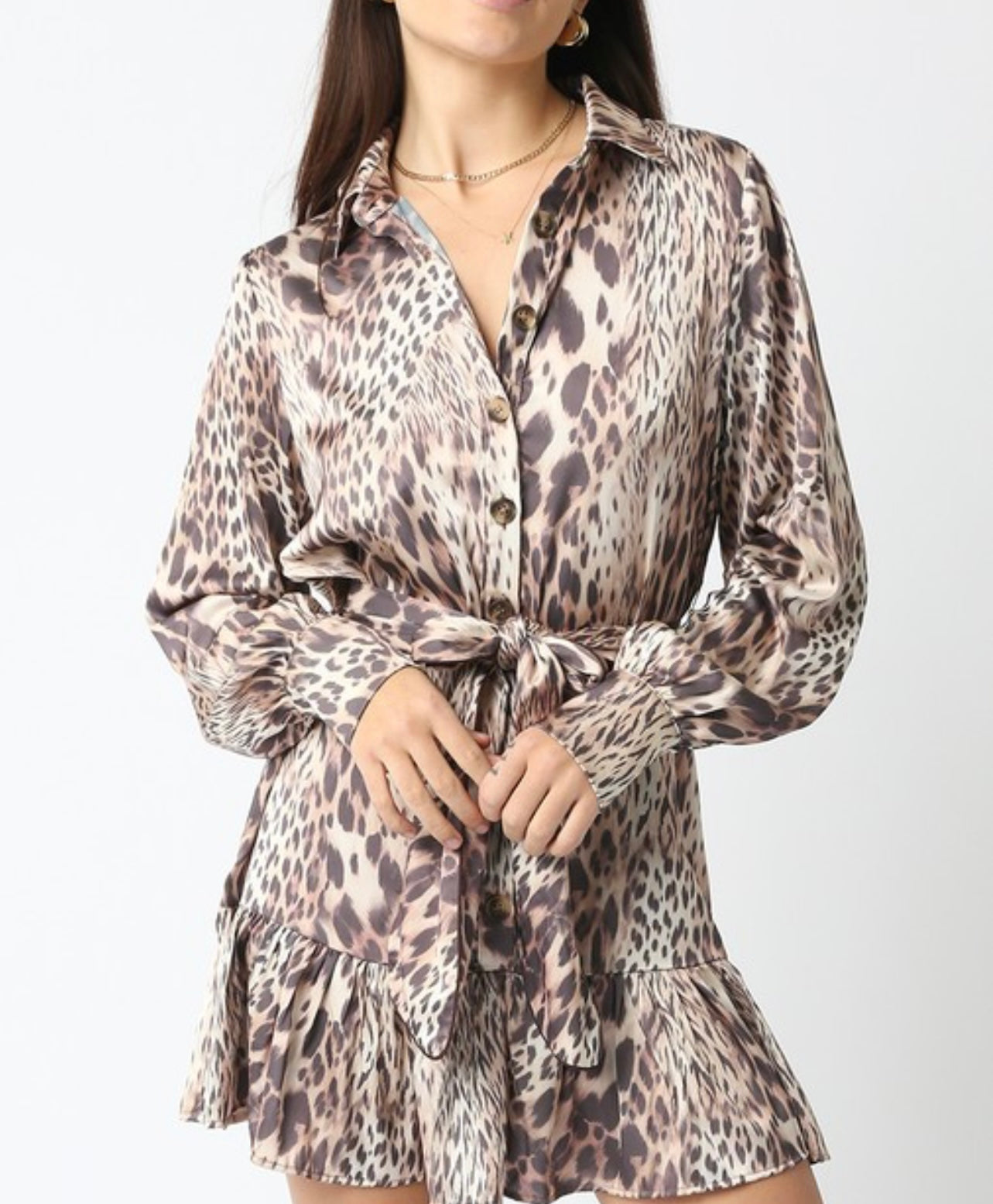 Elizabeth leopard button down dress